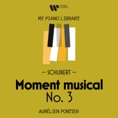 Moments musicaux, Op. 94, D. 780: No. 3 in F Minor artwork