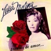 Ironias de Amor..., 1993