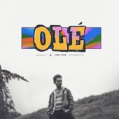 Olé artwork