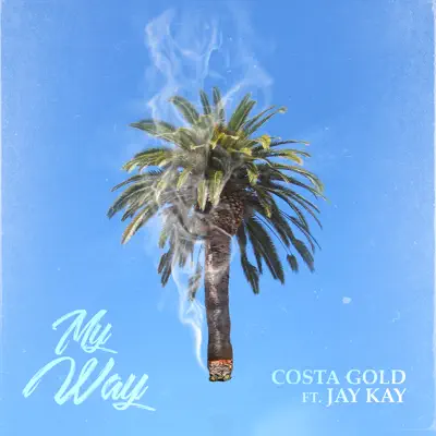 My Way (feat. Jay Kay) - Single - Costa Gold