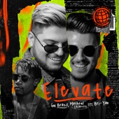 Elevate (feat. Bri-Yan) artwork