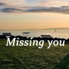 Missing You - Single