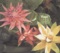carune - Kazumasa Hashimoto lyrics
