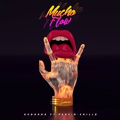 Mucho Flow (feat. Play-N-Skillz) artwork