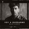 Voy a quedarme by Blas Cantó iTunes Track 2