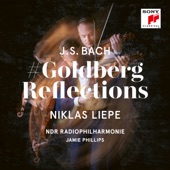 Goldberg's Last Summer for Violin, Piano and String Orchestra artwork