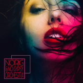 Norig & No Gypsy Orchestra - Norig