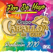 Flor de Mayo artwork