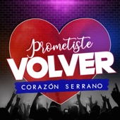 Prometiste Volver artwork