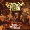 Caminhão de Pinga (feat. Humberto e Ronaldo) - Single