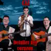 Detalles del corazón - Single album lyrics, reviews, download