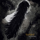 Liarbird artwork