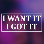 I Want It I Got It artwork