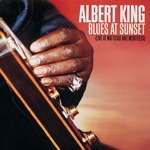 Albert King - Breaking Up Somebody's Home