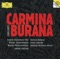 Carmina Burana: "In trutina" artwork