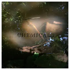 Chemicals - Single by Zak Taylor album reviews, ratings, credits