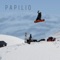 Vendigo - Papilio lyrics