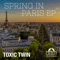 Spring in Paris - Toxic Twin lyrics