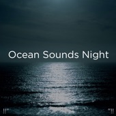 !!" Ocean Sounds Night "!! artwork