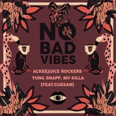 No Bad Vibes (feat. Guesan) artwork