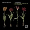 Quartetto Bernardini - Piccolo quartetto in C Major, BI425: I. Romance