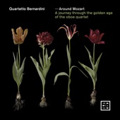 Around Mozart: A Journey Through the Golden Age of the Oboe Quartet artwork