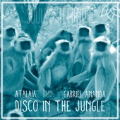 Disco in the Jungle artwork