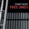 Free Sinzu - Dammy Krane lyrics