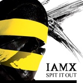Spit It Out (Alexander Kowalski Remix) artwork