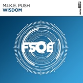 Wisdom (Extended Mix) artwork