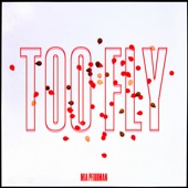 Too Fly artwork