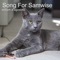 Song for Samwise - William D'agostino lyrics