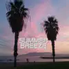 Summer Breeze (Instrumental) song lyrics