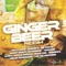 Ginger Beer Riddim (Instrumental) artwork