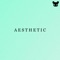 Aesthetic (lofi piano version) artwork