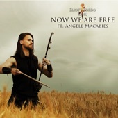 Eliott Tordo Erhu - Gladiator - Now We Are Free