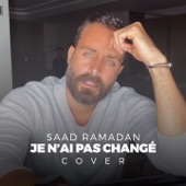 Je n'ai pas changé (Cover) artwork