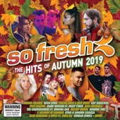 So Fresh: The Hits of Autumn 2019 artwork