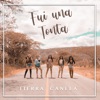 Fui una Tonta - Single