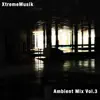Ambient Mix (Vol.3) album lyrics, reviews, download