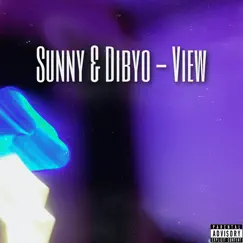 View - Single by Sunny & Dibyo album reviews, ratings, credits