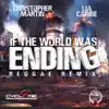 Stream & download If the World is Ending (Reggae Remix) - Single