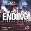 If the World is Ending (Reggae Remix) - Single