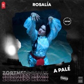 A Palé (Remix) artwork