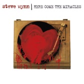Steve Wynn - Watch Your Step