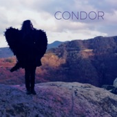 Condor artwork
