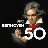 50 Best Beethoven artwork