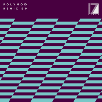 Polymod - Remix - Single artwork