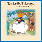 Tea For The Tillerman (Remastered 2020) artwork