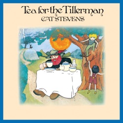 Cat Stevens - Father And Son